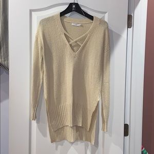 Lush Tunic sweater